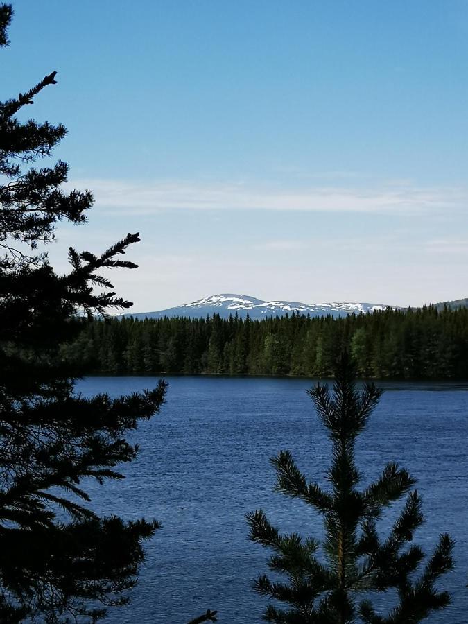 Åredalens fjällgård Vandrarhem Jarpen Exteriör bild
