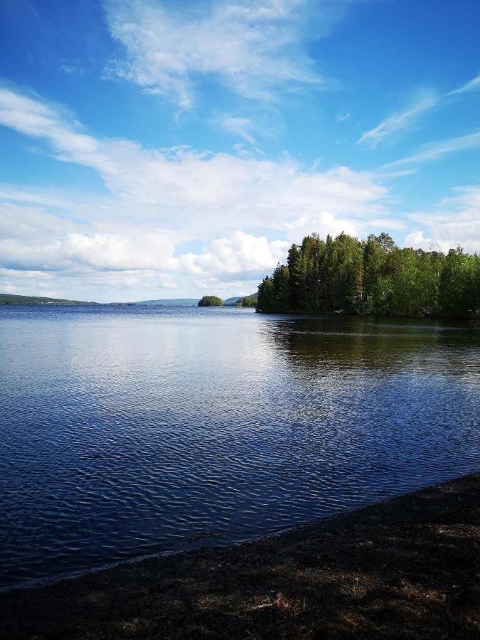Åredalens fjällgård Vandrarhem Jarpen Exteriör bild