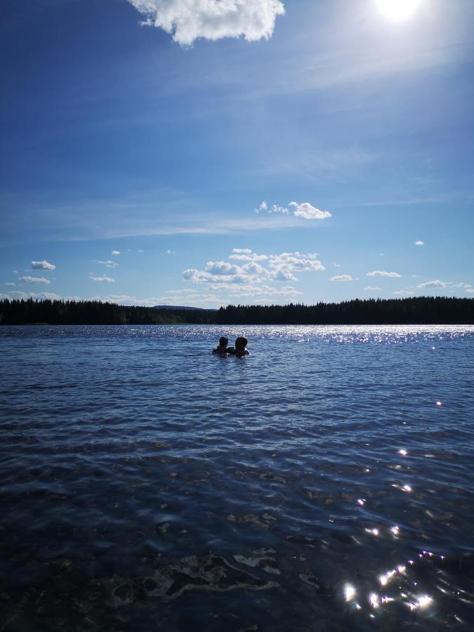 Åredalens fjällgård Vandrarhem Jarpen Exteriör bild